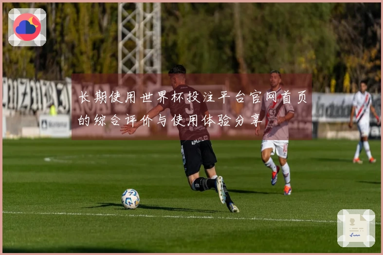 长期使用世界杯投注平台官网首页的综合评价与使用体验分享
