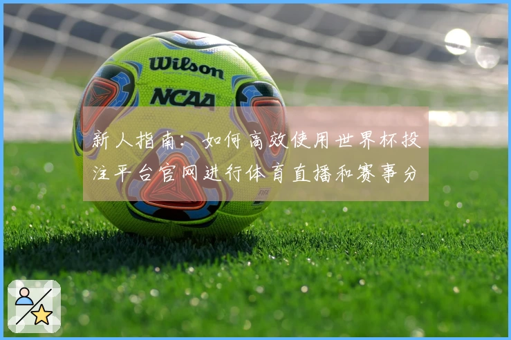 新人指南：如何高效使用世界杯投注平台官网进行体育直播和赛事分析