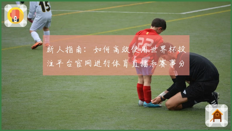 新人指南：如何高效使用世界杯投注平台官网进行体育直播和赛事分析