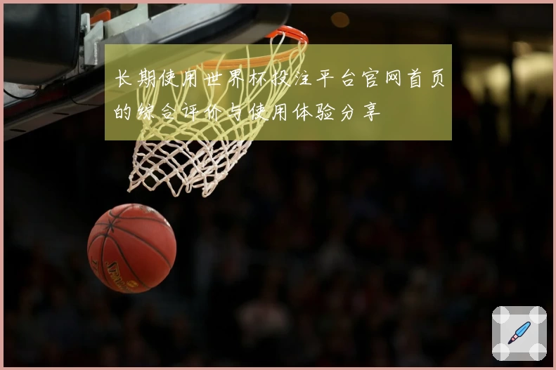 长期使用世界杯投注平台官网首页的综合评价与使用体验分享