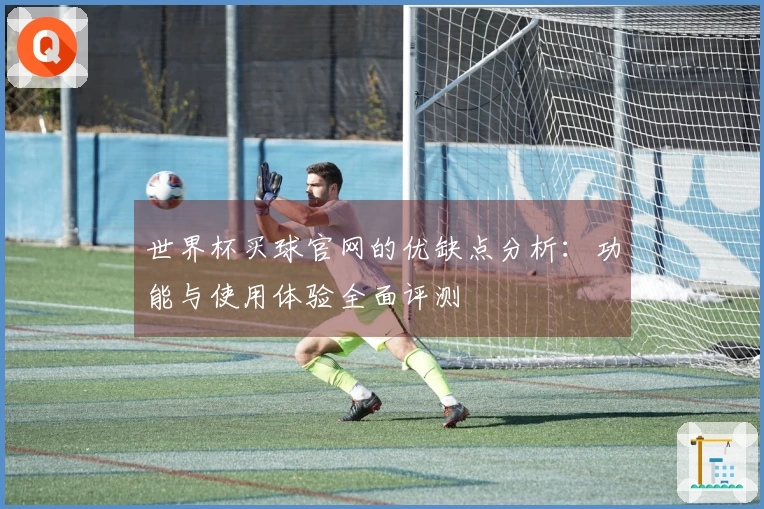 世界杯买球官网的优缺点分析：功能与使用体验全面评测